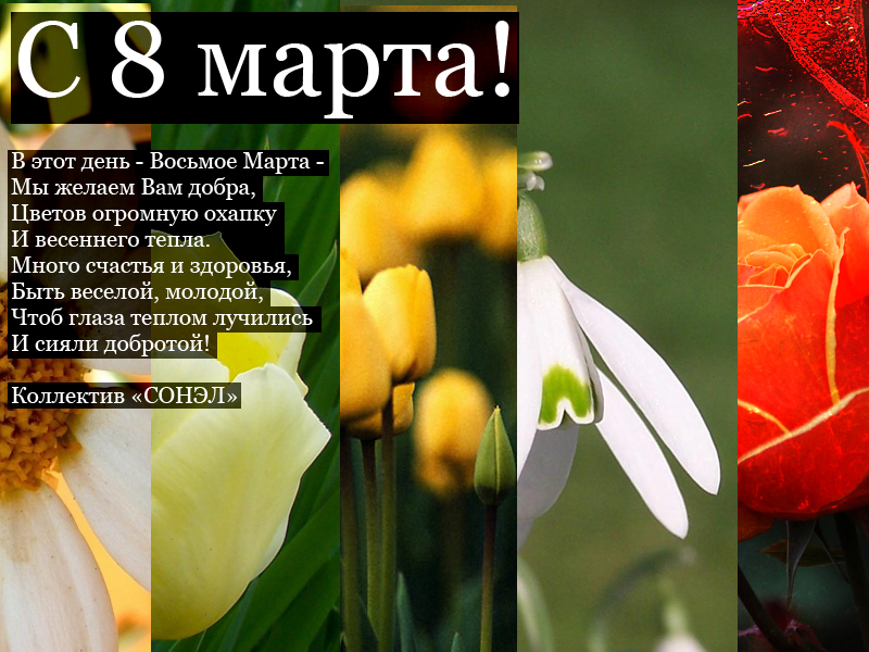 открытка с 8 марта